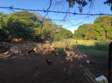 Imagem 1 · Chácara para venda em Jardim Florestan Fernandes, Ribeirão P