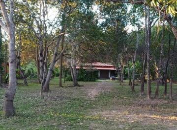 Imagem 1 · Sítio para venda em Área Rural de Teresina, Teresina