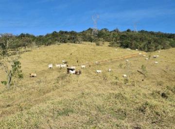 Imagem 1 · Sítio para venda em Centro, Igaratá