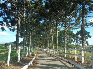 Imagem 1 · Fazenda para venda em Centro, Minduri