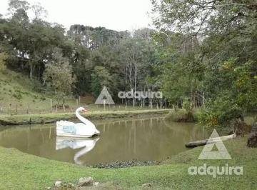 Imagem 1 · Chácara para venda em Uvaranas, Ponta Grossa