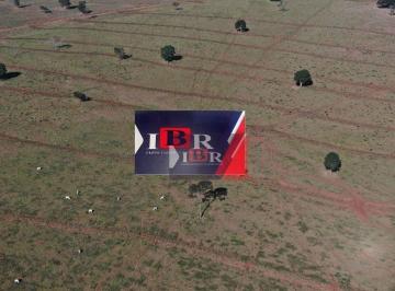 ad0325e92b73a26f934f7e432ec8cdd66ea380d3 · Fazenda em Ribas do Rio Pardo - MS