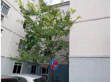 Foto 1 · R$ 72.276,68 - Apartamento - RJ - MESQUITA - ROCHA SOBRINHO