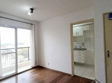 img336133104 · Apartamento 2 Quartos 1 Vaga Condomínio Neo Butantã no Jardim Pinheiros SP