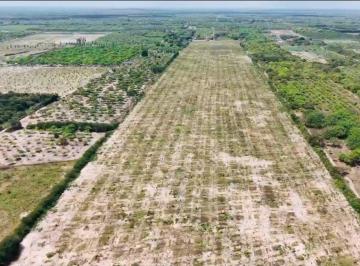 Terreno , Litoral De Camocim E Acaraú · Terreno em área Rural 25 hectares todo limpo