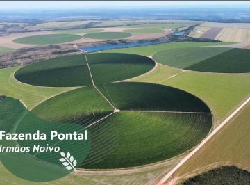 Rural de 4 quartos, Unaí · FAZ. PONTAL UM DOS MELHORES ATIVOS AGRÍCOLAS DO BRASIL 4.767 Hec Unaí. MG