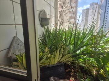 Apartamento à venda no SAN MARCO, CASA AMARELA, Recife, PE · Apartamento à venda no SAN MARCO, CASA AMARELA, Recife, PE