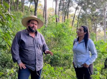 Terreno , Cambuí · RECANTO DAS ARAUCÁRIAS EM CAMBUÍ