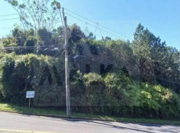 Foto 6 · Terreno à venda - em João Paulo