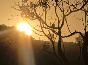 Terreno , Cambuí · PÔR DO SOL DAS MONTANHAS