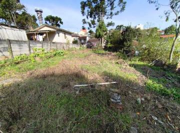 Terreno , Curitiba · Terreno 550m2 Mercês próximo da av. Manoel Ribas, TORRE da "OI"