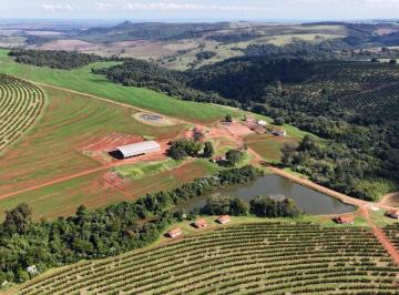 Foto 01 · EXCELENTE FAZENDA À VENDA NA REGIÃO DE AVARÉ-SP ?? BEIRA DA RODOVIA | FAZENDA CITRÍCOLA IRRIGADA E