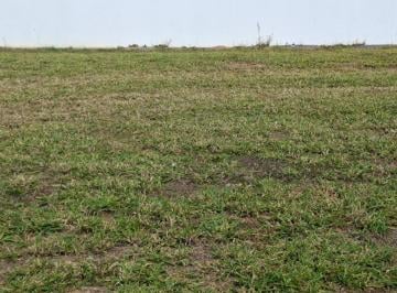 Terreno · 360m² · Terreno à venda em Indaiatuba, Chácara Alvorada, com 360 m², Villa Sapezal