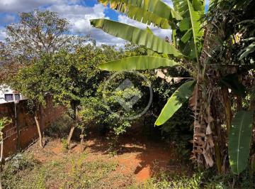 9d2c8066-593e-4206-bd66-674ac3ac5fa0.jpg · Terreno residencial no bairro Lundcéia, próxima á entrada da cidade -Lagoa Santa MG/ My Broker