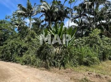4439442_0.jpg · Terreno residencial à venda no bairro porto de cima, Morretes, PR