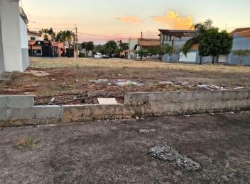 1785162108.jpeg · Otimo terreno no Nova Ribeirania | Rosa e Rangel