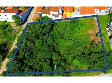 Terreno · 1616m² · Oportunidade de Investimento ou Moradia em Pium: Terreno Multiuso