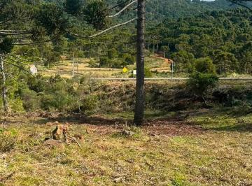 Terreno · 4250m² · Terreno à venda no bairro Vacas Gordas - Urubici/SC