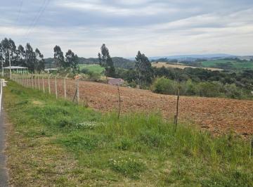 Terreno · 36000m² · 1 Quarto · Chácara para venda em Ipiranga de 36000.00m² com 1 Quarto