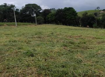 Terreno , Paraisópolis · Oportunidade - Terreno - Residencial Paraiso - Paraisópolis - 250m²