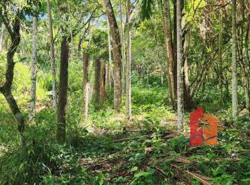 Terreno , Garopaba · Terreno de 1.808,57 m² à Venda – Morro do Siriú | Garopaba/SC