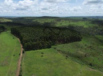Rural · 6910000m² · FAZENDA CACHOEIRAS DE BOA VISTA COM 691 HA ? COCALZINHO DE GOIÁS - GIRASSOL/GO