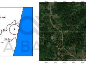 Rural · 260000m² · FAZENDA BURACO FUNDO DE 26HA - SERRA GRANDE - URUÇUCA/BA