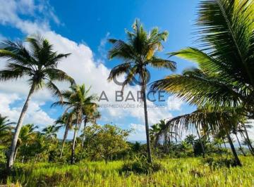 Rural · 45000m² · FAZENDA SÃO JORGE 4.5HA - SERRA GRANDE - URUÇUCA/BA