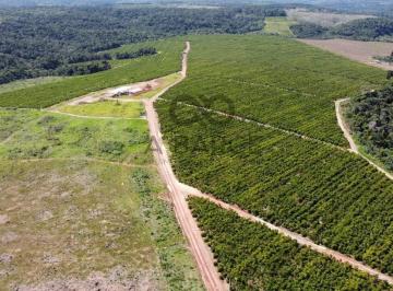 Rural · 18200000m² · FAZENDA CONJUNTO PARAÍSO - 1820HA - UNA/BA