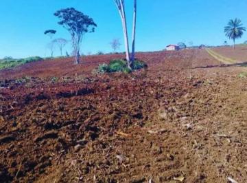 Rural · 3490000m² · FAZENDA SANTA MARIA 349HA - UNA/BA