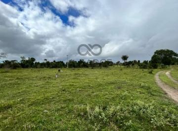 Rural · 33600000m² · FAZENDA BOA ESPERANÇA 336 HA ? OURICANA - CANAVIEIRAS/BA