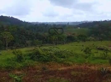 Rural · 3100000m² · 5 Quartos · FAZENDA BELA VITÓRIA 310 HA - UNA/BA