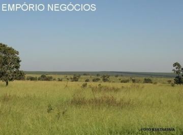 Foto 01 · Fazenda venda. Empório Negócios vende fazenda pecuária e lavoura na região de Jacuí/São Sebastião do