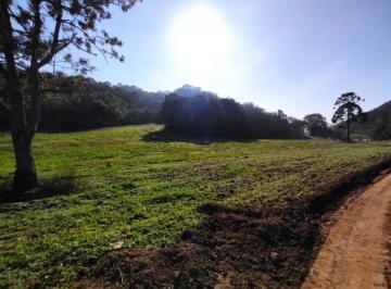 Terreno , Campo Magro · Chácara à venda em Campo Novo