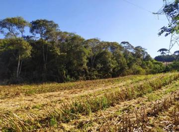 Rural , Almirante Tamandaré · Chácara com 12.700m² em Almirante Tamandaré- Pacotuba
