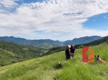 Terreno , Paulo Lopes · Área Rural 4 Hectares à Venda | Nascente | Natureza | Sossego | Cedro – Penha, Paulo Lopes/SC