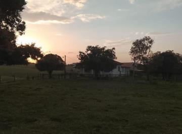 Rural 182154ha Venda · Fazenda 182 hectares - Ribeirão Claro divisa com Jacarezinho - Paraná