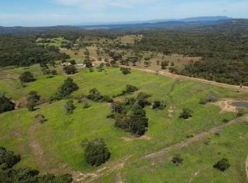 Rural de 7 quartos, Monte Alegre de Goiás · Fazenda à Venda em Monte Alegre de Goias – GO
