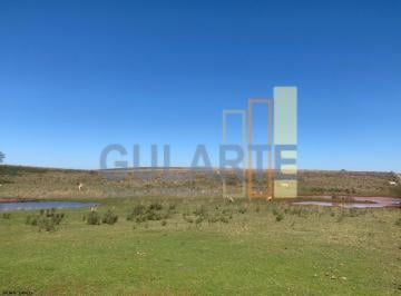 Imagem 1 · Fazenda para venda em Alegrete