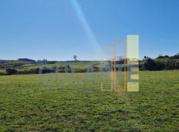 Imagem 1 · Fazenda para venda em São Francisco de Paula