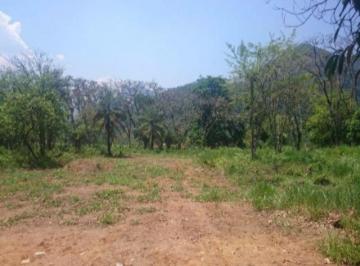 Foto 01 · Terreno - Cotia