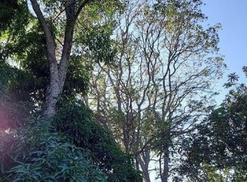 Foto · Casa - Pirenópolis