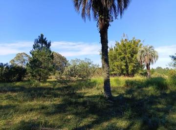 Rural , Viamão · Imóvel rural de 5542 m² à venda em Águas Claras