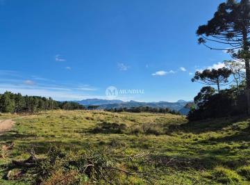 g1_6738_120319_1610_140726.jpg · TERRENO RANCHO QUEIMADO 100 HECTARES COM 8MIL PINUS