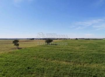 Rural · 311900m² · Rural Sítio em São José do Rio Preto