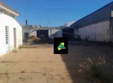 600ba2f391be4dbc0c1d2204a7dcda0369ed7d55 · Barracão à venda, 200 m² por R$ 1.500.000,00 - Chácaras Campos dos Amarais - Campinas/SP