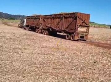 d2d9ca7f9eaff203763d98a1f8bde7d0528a0998 · Fazenda 86 HA Cana de açúcar a venda em Altinópolis- SP!