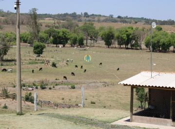 Rural · 77m² · 5 Quartos · Fazenda Haras rio claro