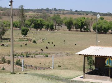 Rural · 77m² · 5 Quartos · Fazenda Haras rio claro