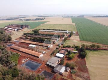 Rural · 1m² · Fazenda à venda,363000.00 m², Zona Rural, TOLEDO - PR
